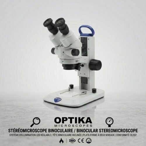 Stéréomicroscope - Loupe binoculaire