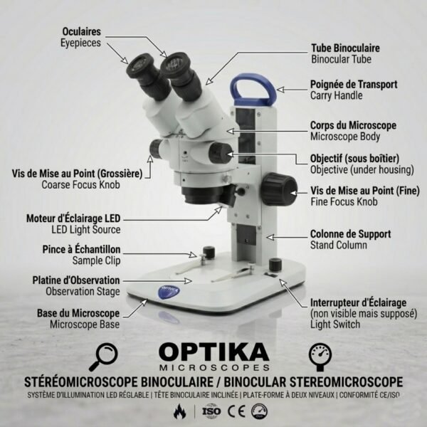 Stéréomicroscope - Loupe binoculaire