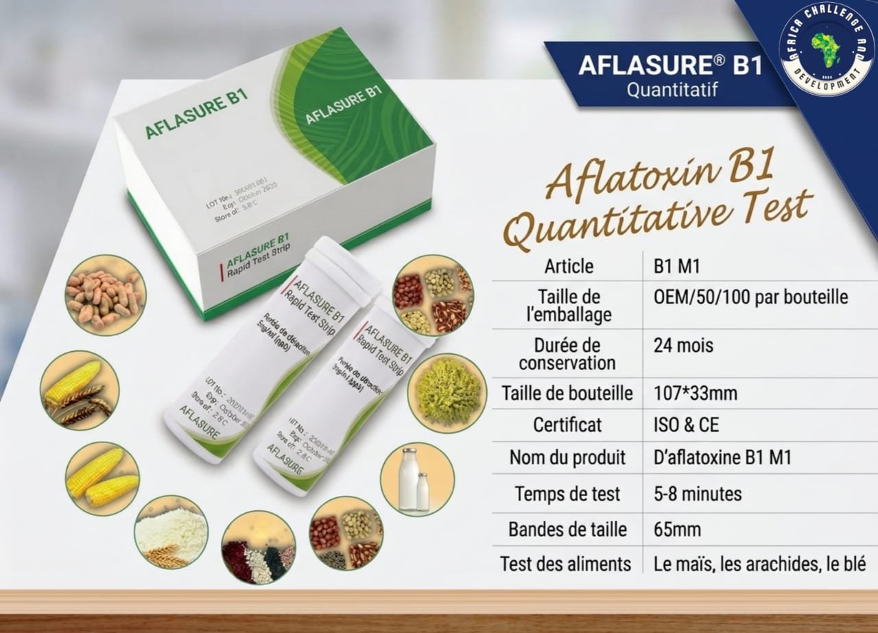 WhatsApp Image 2026-04-04 at 16.49.26