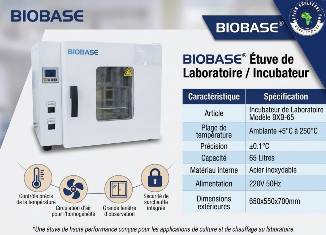 WhatsApp Image 2026-04-04 at 17.25.16